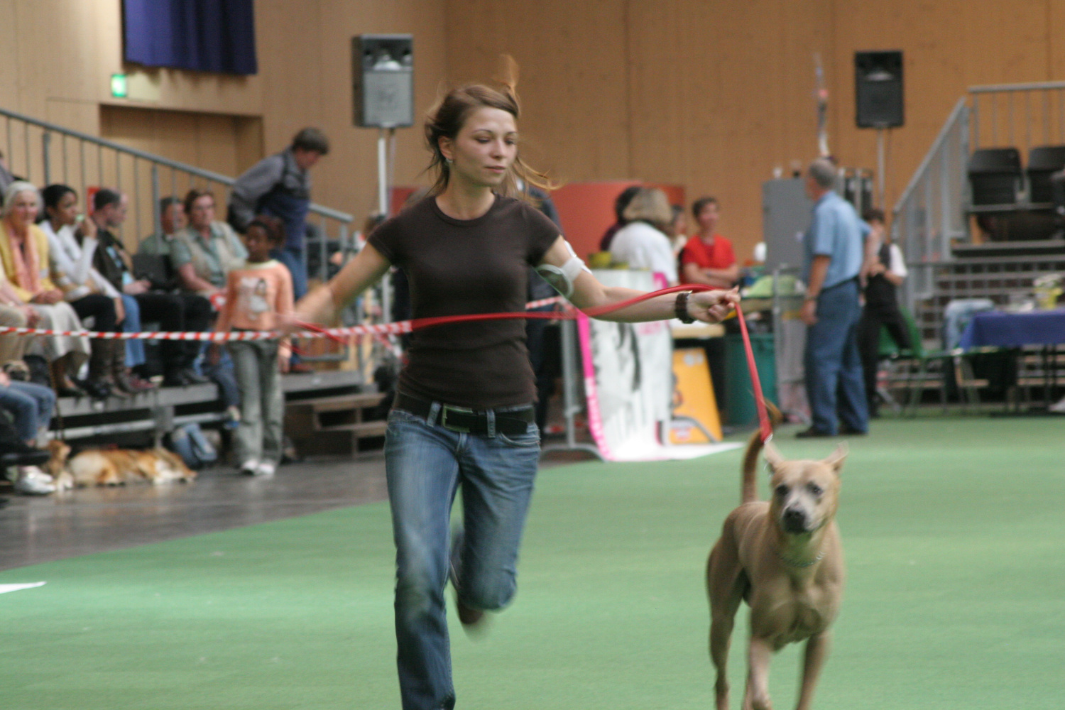 Dog Lister on dog show
