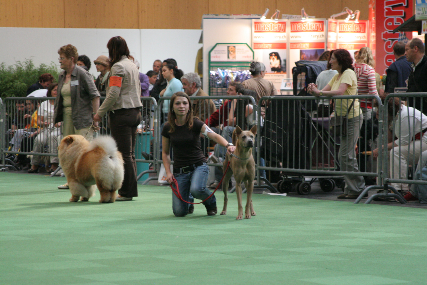 Dog Lister on dog show